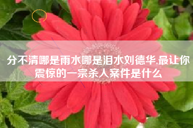 分不清哪是雨水哪是泪水刘德华,最让你震惊的一宗杀人案件是什么