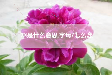 ZN是什么意思,字母Z怎么念