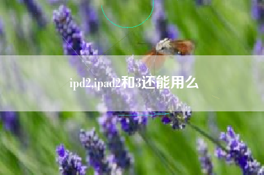 ipd2,ipad2和3还能用么