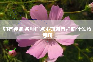如有神助,名师指点不如如有神助什么意思啊