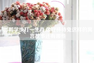 邯郸学步打一生肖,像守株待兔这样的寓言故事还有哪些