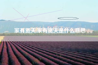 家有贤夫,家有贤夫是什么意思