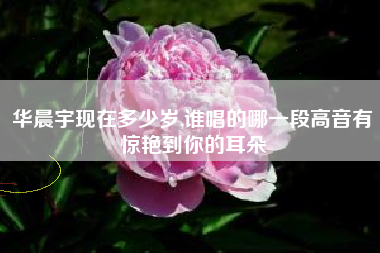 华晨宇现在多少岁,谁唱的哪一段高音有惊艳到你的耳朵