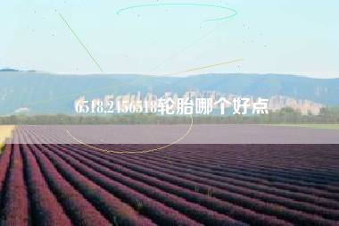 6518,2456518轮胎哪个好点