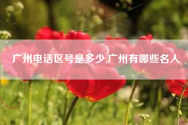 广州电话区号是多少,广州有哪些名人