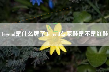 legend是什么牌子,legend专家鞋是不是红鞋