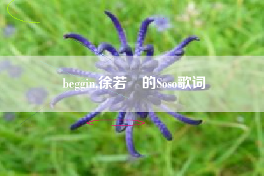 beggin,徐若瑄的Soso歌词