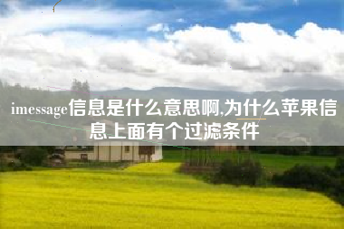 imessage信息是什么意思啊,为什么苹果信息上面有个过滤条件