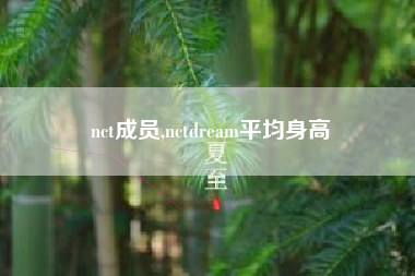 nct成员,nctdream平均身高