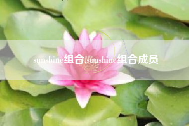 sunshine组合,sunshine组合成员
