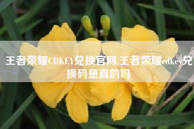 王者荣耀CDKEY兑换官网,王者荣耀cdkey兑换码是真的吗