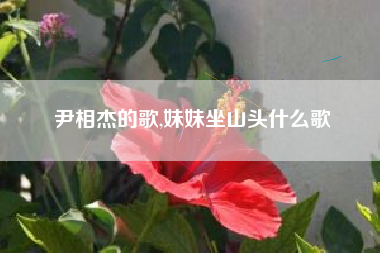 尹相杰的歌,妹妹坐山头什么歌