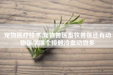 宠物医疗技术,宠物兽医畜牧兽医还有动物医学哪个接触冷血动物多