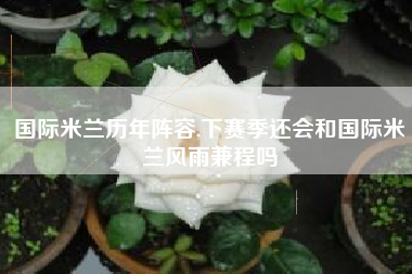 国际米兰历年阵容,下赛季还会和国际米兰风雨兼程吗