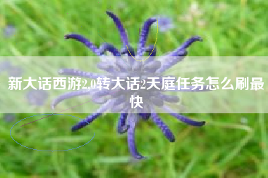 新大话西游2,0转大话2天庭任务怎么刷最快