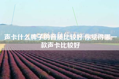 声卡什么牌子的音质比较好,你觉得哪一款声卡比较好