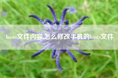 hosts文件内容,怎么修改手机的hosts文件