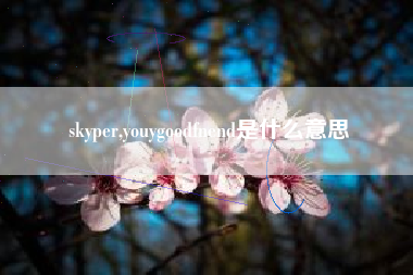 skyper,youygoodfnend是什么意思
