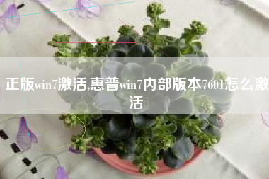 正版win7激活,惠普win7内部版本7601怎么激活