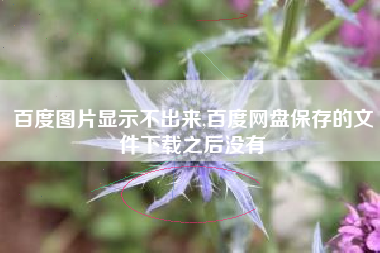 百度图片显示不出来,百度网盘保存的文件下载之后没有