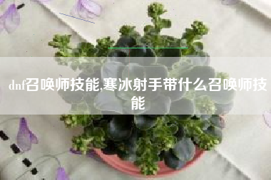 dnf召唤师技能,寒冰射手带什么召唤师技能