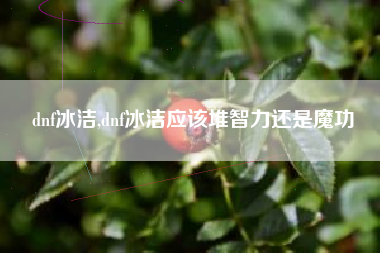 dnf冰洁,dnf冰洁应该堆智力还是魔功