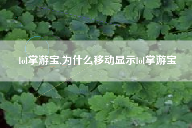 lol掌游宝,为什么移动显示lol掌游宝