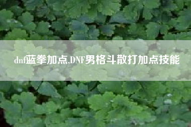 dnf蓝拳加点,DNF男格斗散打加点技能