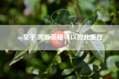 ap皇子,哪些英雄可以担此重任