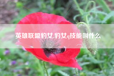 英雄联盟豹女,豹女q技能叫什么