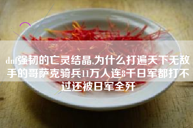 dnf强韧的亡灵结晶,为什么打遍天下无敌手的哥萨克骑兵11万人连8千日军都打不过还被日军全歼 dnf强韧的亡灵结晶,为什么打遍天下无敌手的哥萨克骑兵11万人连8千日军都打不过还被日军全歼