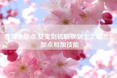 驭剑士加点,女鬼剑转职驭剑士之后怎么加点和加技能