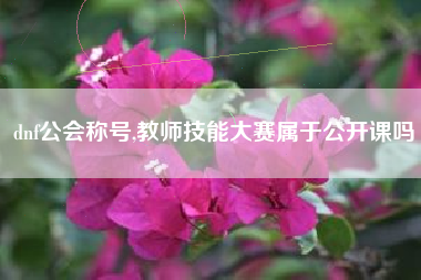 dnf公会称号,教师技能大赛属于公开课吗