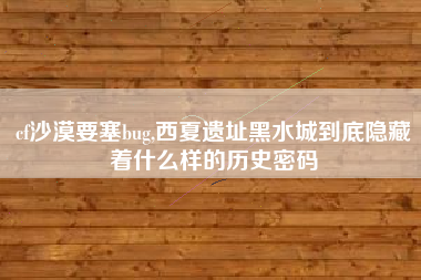 cf沙漠要塞bug,西夏遗址黑水城到底隐藏着什么样的历史密码