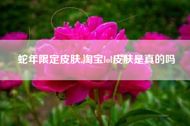 蛇年限定皮肤,淘宝lol皮肤是真的吗