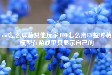 dnf怎么屏蔽其他玩家,DNF怎么用EX整时装模型在游戏里只显示自己的