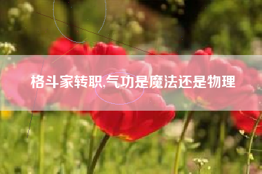 格斗家转职,气功是魔法还是物理