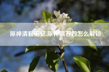 原神清籁旧忆,原神镇石四怎么解锁