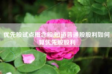 优先股试点概念股,知道普通股股利如何算优先股股利
