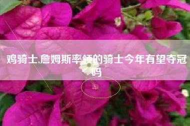 鸡骑士,詹姆斯率领的骑士今年有望夺冠吗