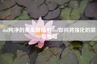 dnf纯净的黄金增幅书,dnf如何将强化的装备增幅
