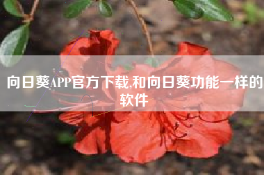 向日葵APP官方下载,和向日葵功能一样的软件