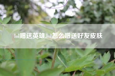 lol赠送英雄,lol怎么赠送好友皮肤