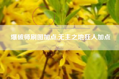 爆破师刷图加点,无主之地狂人加点