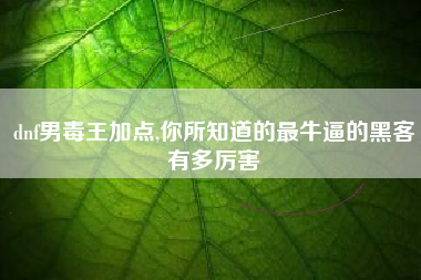 dnf男毒王加点,你所知道的最牛逼的黑客有多厉害