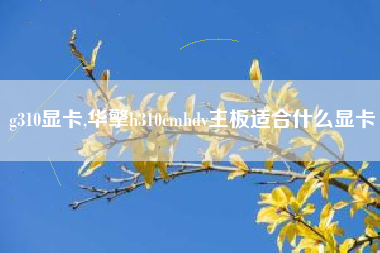 g310显卡,华擎h310cmhdv主板适合什么显卡