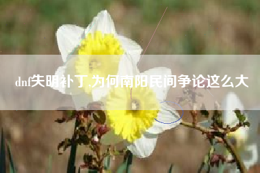 dnf失明补丁,为何南阳民间争论这么大
