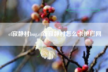 cf寂静村bug,cf新寂静村怎么卡护栏网