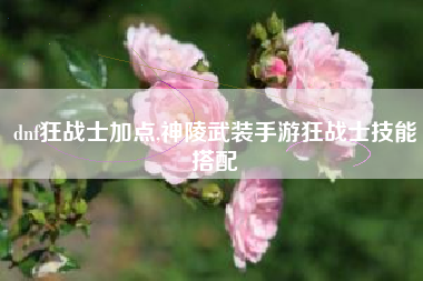 dnf狂战士加点,神陵武装手游狂战士技能搭配