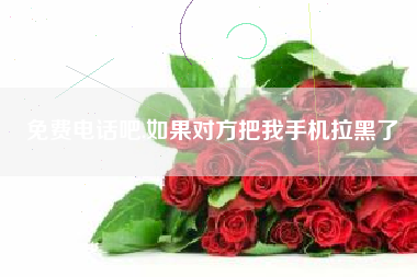 免费电话吧,如果对方把我手机拉黑了